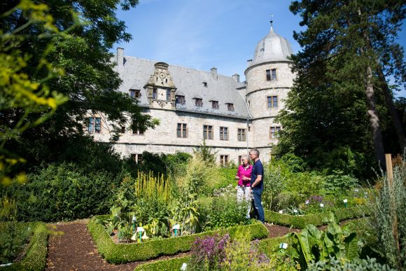 The herb garden